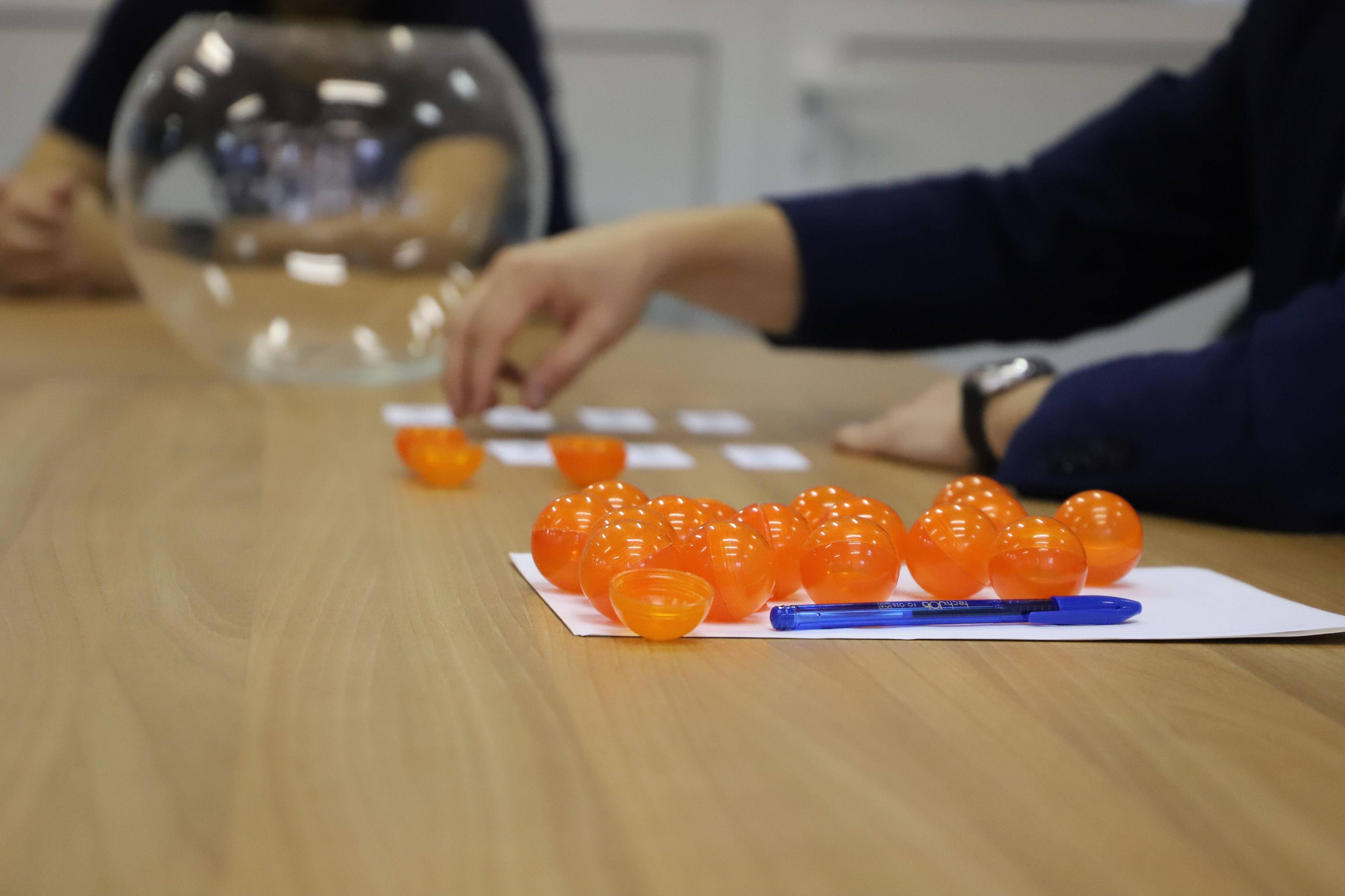 Снимки: БФВ